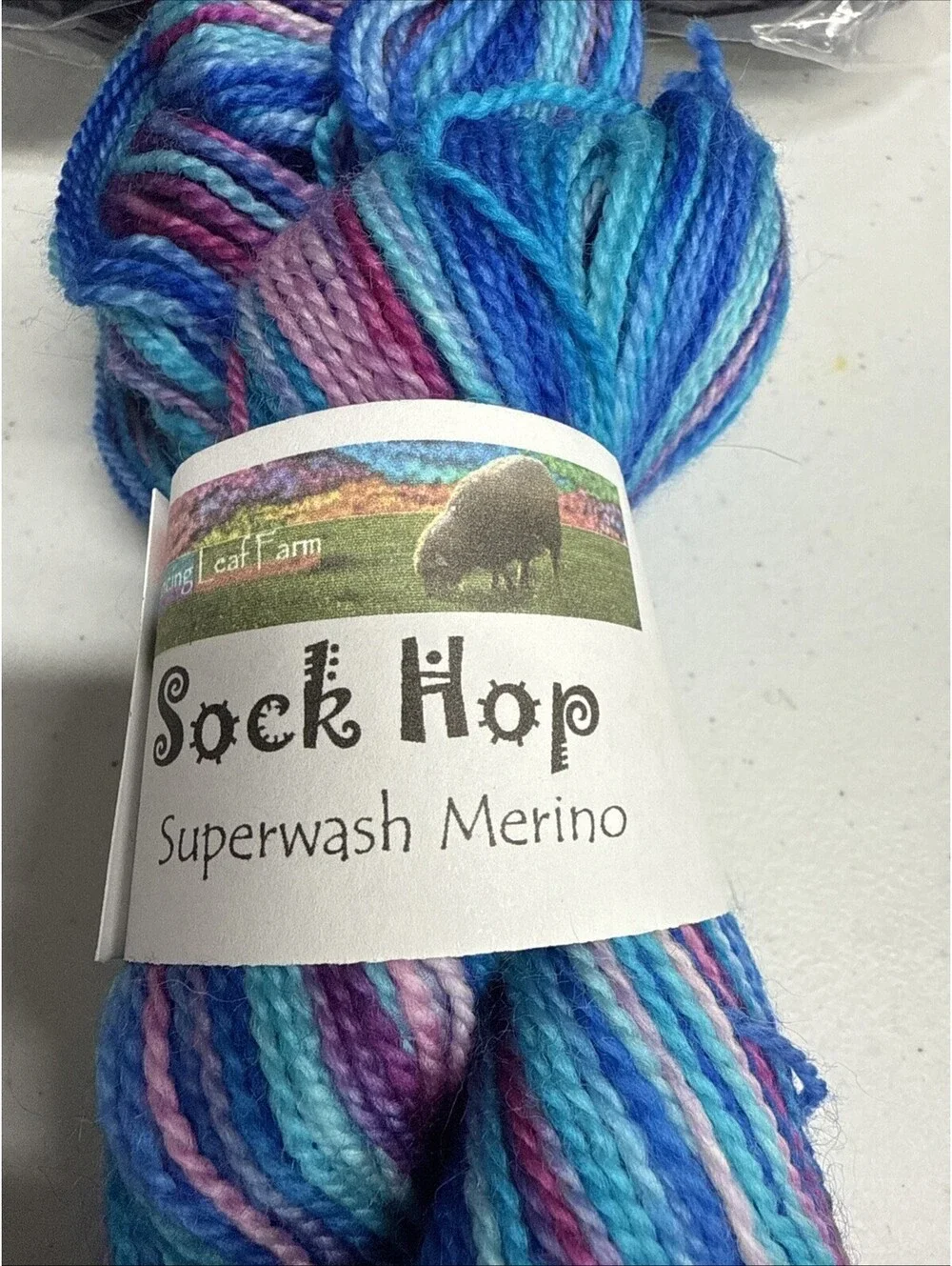 Dancing Leaf Farm “Sock Hop” Superwash Merino Mixed Color 4 Skein Lot